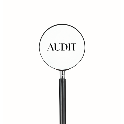 audit